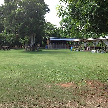 Chillax On Our Farm Guest House Ocho Rios Exterior photo