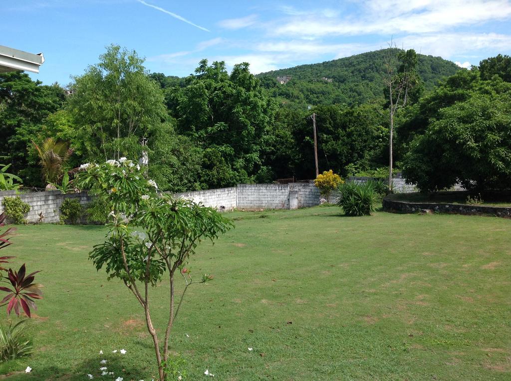 Chillax On Our Farm Guest House Ocho Rios Exterior photo