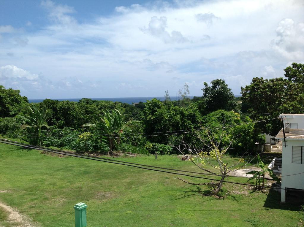 Chillax On Our Farm Guest House Ocho Rios Exterior photo