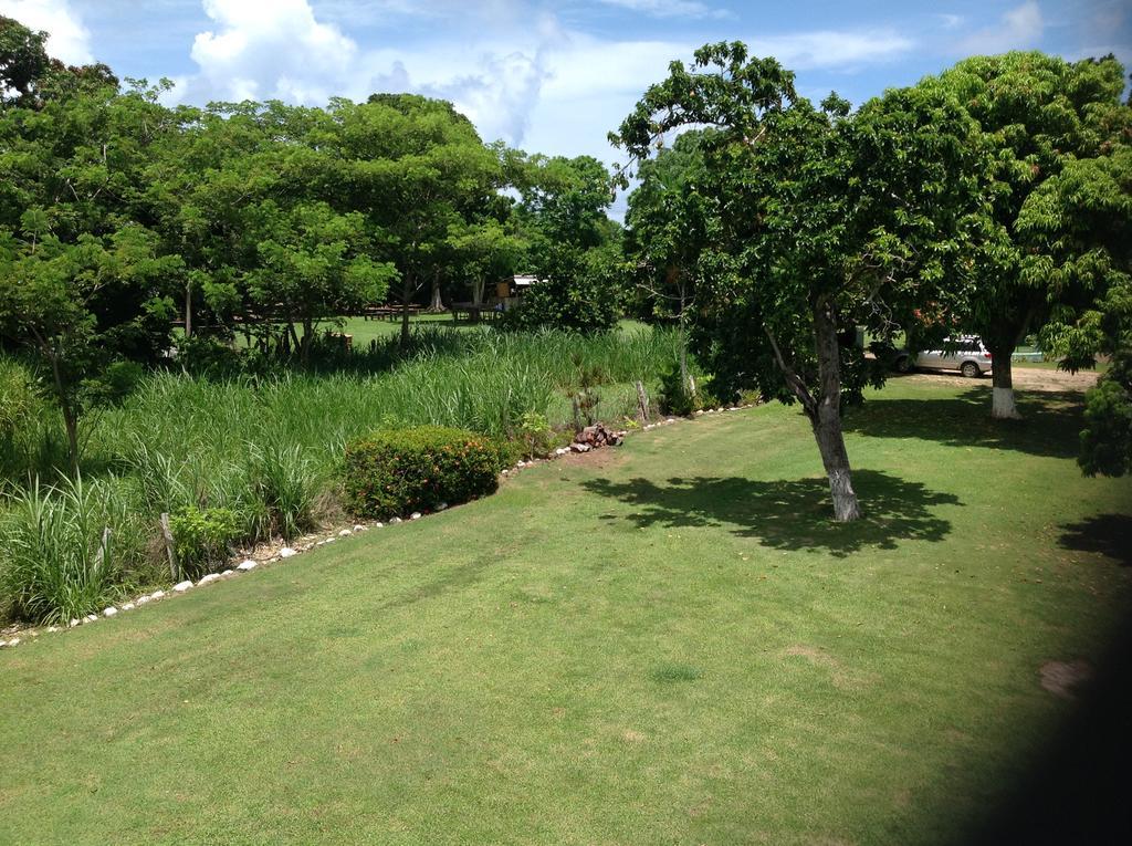 Chillax On Our Farm Guest House Ocho Rios Exterior photo